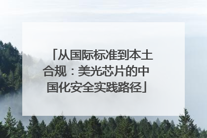 从国际标准到本土合规：美光芯片的中国化安全实践路径