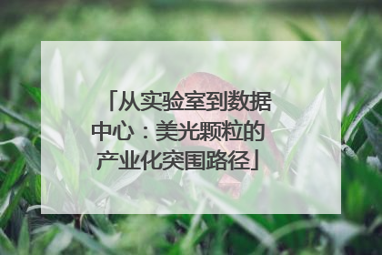 从实验室到数据中心：美光颗粒的产业化突围路径