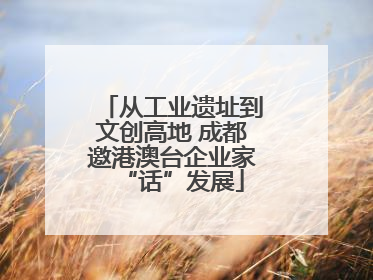 从工业遗址到文创高地 成都邀港澳台企业家“话”发展