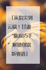从指尖到云端！甘肃“陇原巧手”解锁创富新赛道