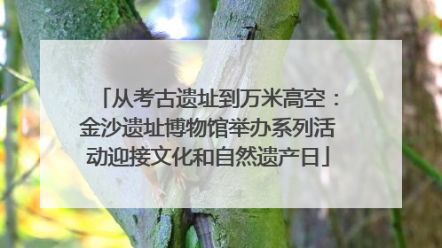 从考古遗址到万米高空：金沙遗址博物馆举办系列活动迎接文化和自然遗产日