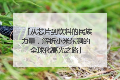 从芯片到饮料的民族力量，解析小米东鹏的全球化高光之路