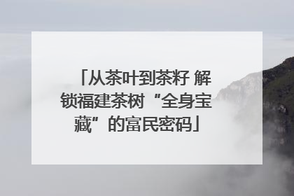 从茶叶到茶籽 解锁福建茶树“全身宝藏”的富民密码