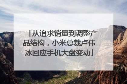 从追求销量到调整产品结构，小米总裁卢伟冰回应手机大盘变动