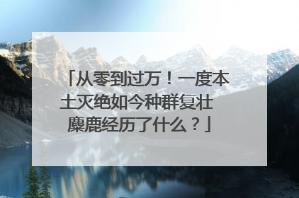 从零到过万！一度本土灭绝如今种群复壮 麋鹿经历了什么？