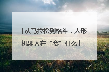 从马拉松到格斗，人形机器人在“赛”什么