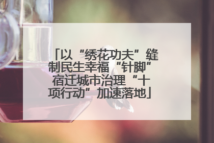 以“绣花功夫”缝制民生幸福“针脚” 宿迁城市治理“十项行动”加速落地