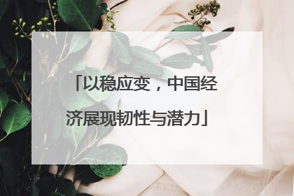 以稳应变，中国经济展现韧性与潜力