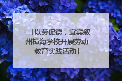 以劳促德，宜宾叙州樟海学校开展劳动教育实践活动