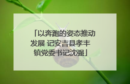以奔跑的姿态推动发展 记安吉县孝丰镇党委书记沈强