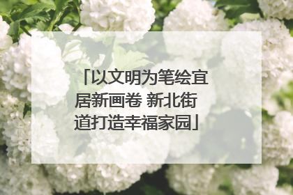 以文明为笔绘宜居新画卷 新北街道打造幸福家园