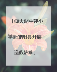 仰天湖中建小学赴邵阳县开展送教活动