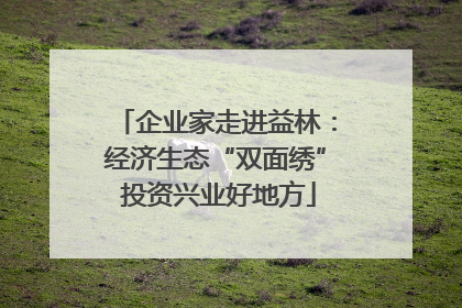 企业家走进益林：经济生态“双面绣” 投资兴业好地方