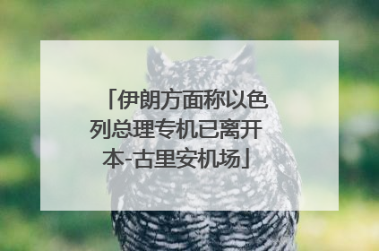 伊朗方面称以色列总理专机已离开本-古里安机场
