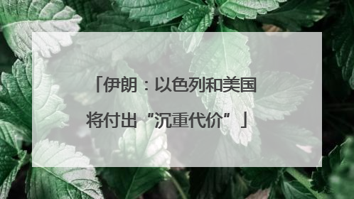 伊朗：以色列和美国将付出“沉重代价”