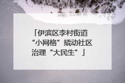 伊滨区李村街道 “小网格”撬动社区治理“大民生”