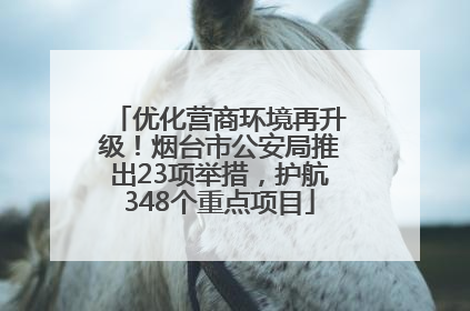 优化营商环境再升级！烟台市公安局推出23项举措，护航348个重点项目