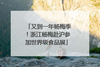 又到一年杨梅季！浙江杨梅赴沪参加世界级食品展