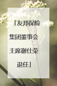 友邦保险集团董事会主席谢仕荣退任