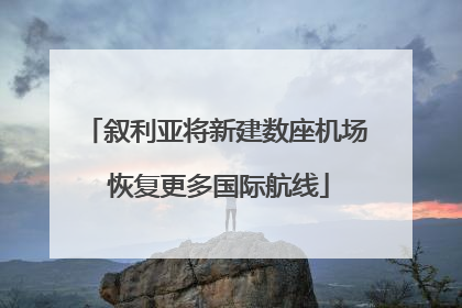 叙利亚将新建数座机场 恢复更多国际航线