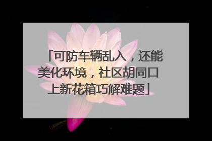 可防车辆乱入，还能美化环境，社区胡同口上新花箱巧解难题