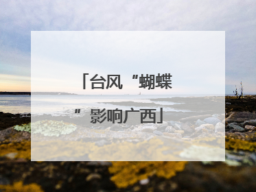 台风“蝴蝶”影响广西