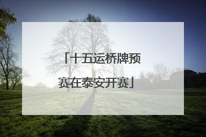 十五运桥牌预赛在泰安开赛
