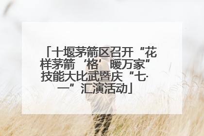 十堰茅箭区召开“花样茅箭‘格’暖万家”技能大比武暨庆“七·一”汇演活动