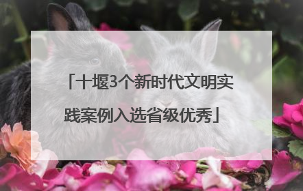 十堰3个新时代文明实践案例入选省级优秀
