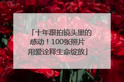 十年跟拍镜头里的感动！100张照片用爱诠释生命绽放