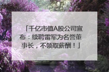 千亿市值A股公司宣布：续聘雷军为名誉董事长，不领取薪酬！
