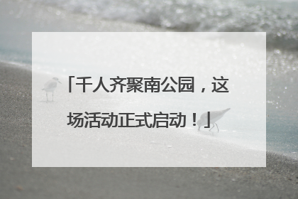 千人齐聚南公园，这场活动正式启动！