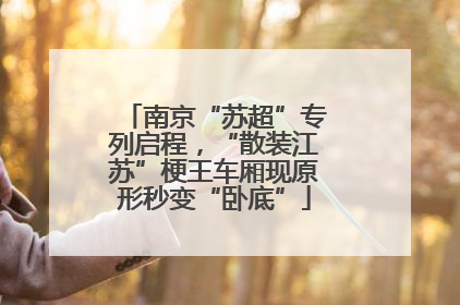 南京“苏超”专列启程，“散装江苏”梗王车厢现原形秒变“卧底”