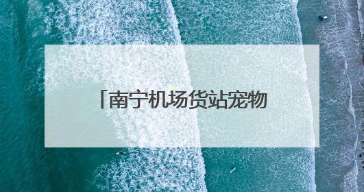南宁机场货站宠物候机厅正式启用