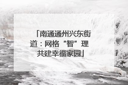 南通通州兴东街道：网格“智”理 共建幸福家园