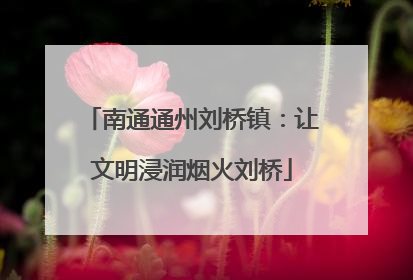 南通通州刘桥镇：让文明浸润烟火刘桥