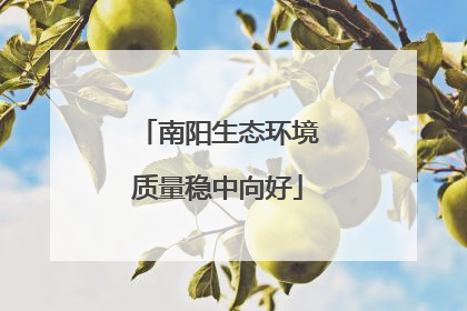 南阳生态环境质量稳中向好