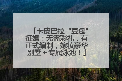 卡皮巴拉“豆包”征婚：无需彩礼，有正式编制，嫁妆豪华别墅＋专属泳池！