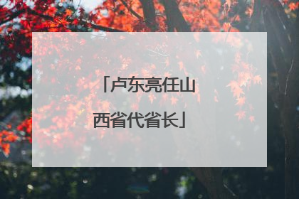卢东亮任山西省代省长