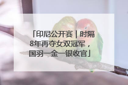 印尼公开赛｜时隔8年再夺女双冠军，国羽一金一银收官