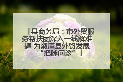 县商务局：市外贸服务帮扶团深入一线解难题 为溆浦县外贸发展“把脉问诊”