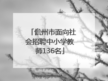 儋州市面向社会招聘中小学教师136名
