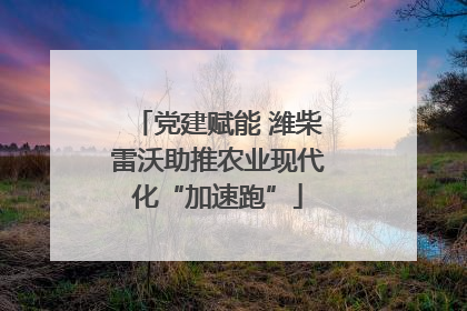 党建赋能 潍柴雷沃助推农业现代化“加速跑”