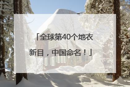 全球第40个地衣新目，中国命名！