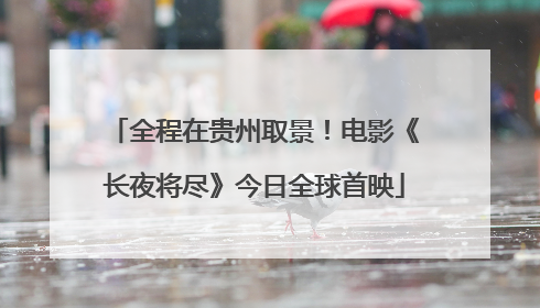 全程在贵州取景！电影《长夜将尽》今日全球首映