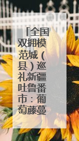 全国双拥模范城（县）巡礼新疆吐鲁番市：葡萄藤蔓根连根 火洲军民心连心