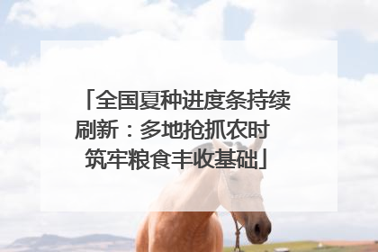 全国夏种进度条持续刷新：多地抢抓农时 筑牢粮食丰收基础