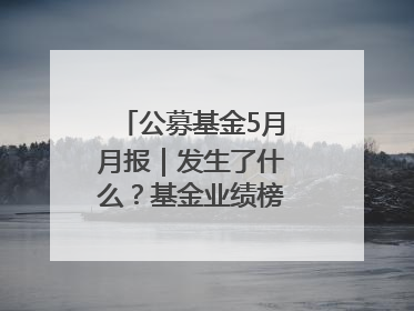 公募基金5月月报｜发生了什么？基金业绩榜变化这么大！
