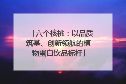 六个核桃：以品质筑基、创新领航的植物蛋白饮品标杆
