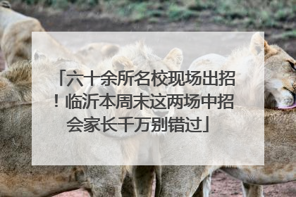 六十余所名校现场出招！临沂本周末这两场中招会家长千万别错过